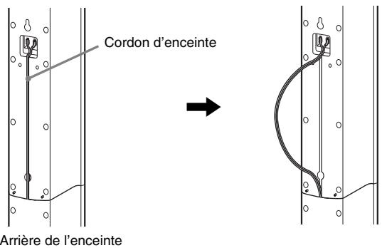 Cordon d'enceinte Arrière de l'enceinte