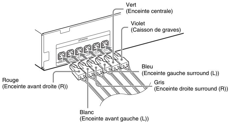 VERT (Enceinte centrale) Violet (Caisson de graves) Blou (Enceinte gauche surround (L)) Gris (Enceinte droite surround (R)) Blanc (Enceinte avant gauche (L)) Rouge (Enceinte avant droite (R))