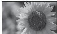 SONY DPP-F700 - Utilisation comme cadre photo - 7