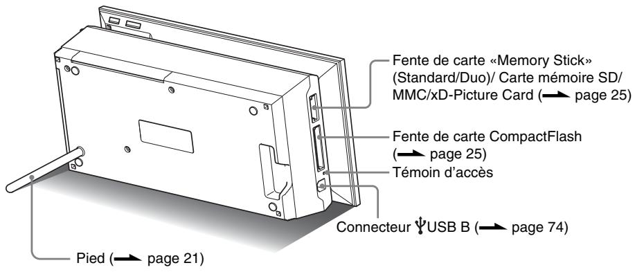 SONY DPP-F700 - Identification des pieces - 3