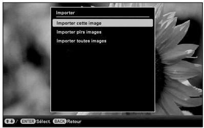 SONY DPP-F700 - Mode d'affichage d'une seule image (Affichage d'une seule image) - 1