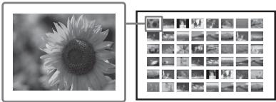 SONY DPP-F700 - Réalisation d'une d'impressions par lots (Impression de l'index/ Impression DPOF/Imprimer tout) - 1