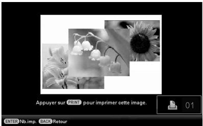 SONY DPP-F700 - Impression en mode de diaporama - 1