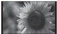SONY DPP-F700 - Utilisation comme cadre photo - 1