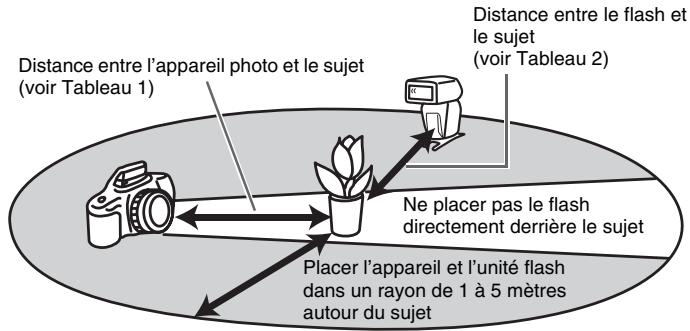 SONY HVL-F58AM - Portée du flash sans cordon - 1