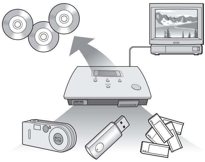 Diagram illustrating the connection between a CD-ROM, a physical device, and a monitor displaying a landscape image.