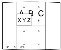 SONY UP-50 - Making a Printout with an Insert - 5