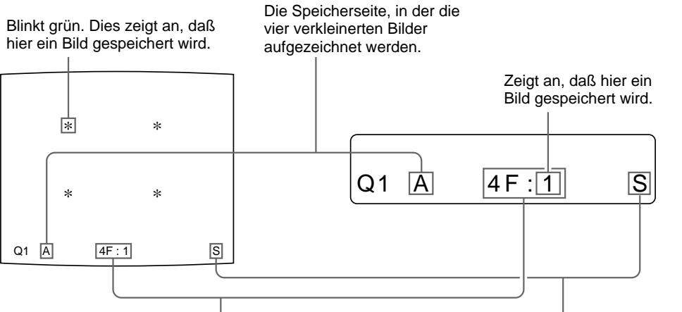 SONY UP-50 - Starten Sie an der Videoquelle die Wiedergabe. - 1