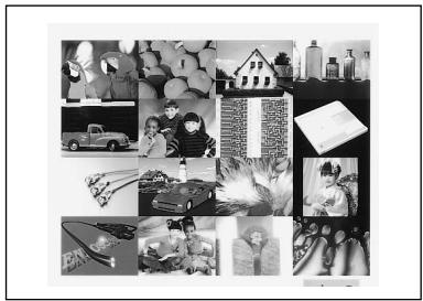 SONY UP-51MDP - Folgende Arten von Ausdrucken konnen mit dem Drucker erzeugt werden: - 5