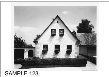 SONY UP-51MDP - Printouts that can be made with the printer - 8