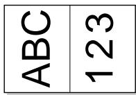 SONY UP-51MDP - Variations of printouts that the printer can produce - 2