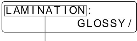 SONY UP-51MDP - Auswahlen des Beschichtungstyps - 5