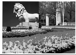 SONY UP-51MDP - Impressions réalisables au moyen de cette imprimante - 8