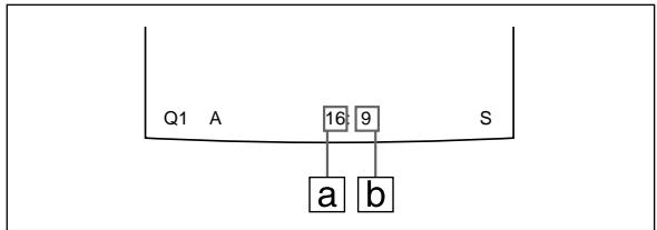 SONY UP-51MDP - Beispiel: - 1