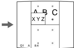 SONY UP-51MDP - Ausdrucken eines Bildes mit eingefugtem Bild - 4