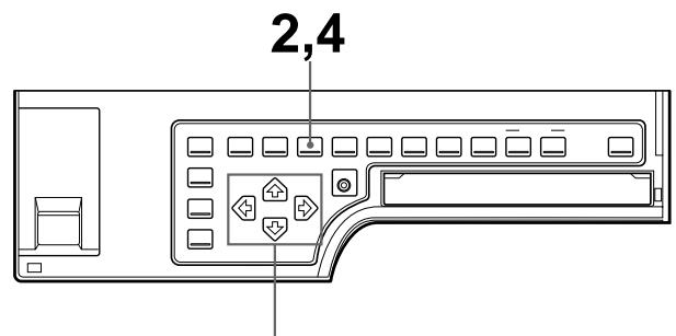 SONY UP-51MDP - Making a Printout with an Insert - 2