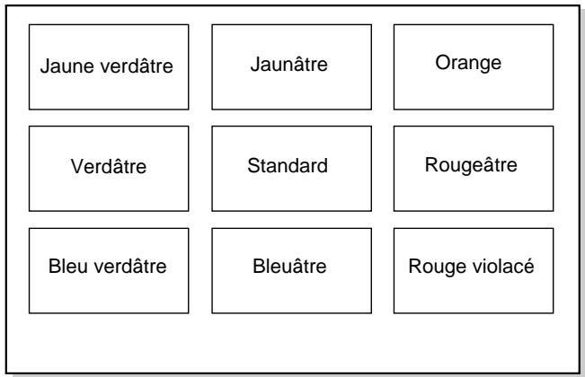 SONY UP-51MDP - Exemple de modification de couleur dans le test d'impression - 1