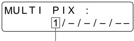SONY UP-51MDP - Press the MULTI PICTURE button. - 2