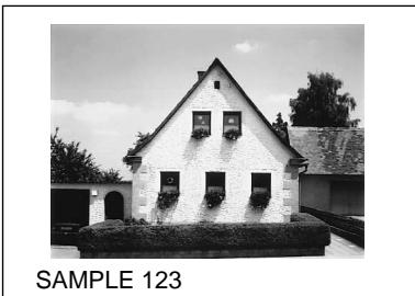 SONY UP-51MDU - Folgende Arten von Ausdrucken konnen mit dem Drucker erzeugt werden: - 8