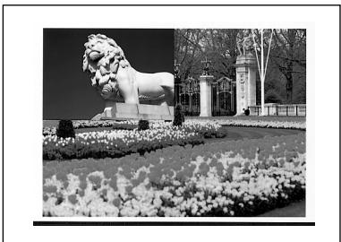 SONY UP-51MDU - Folgende Arten von Ausdrucken konnen mit dem Drucker erzeugt werden: - 7