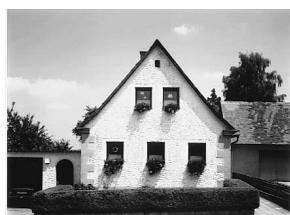 SONY UP-51MDU - Impressions réalisables au moyen de cette imprimante - 9