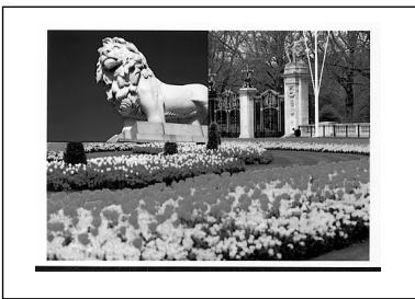 SONY UP-51MDU - Printouts that can be made with the printer - 7