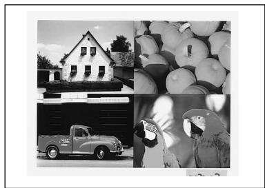 SONY UP-51MDU - Printouts that can be made with the printer - 3