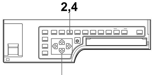 SONY UP-51MDU - Making a Printout with an Insert - 2