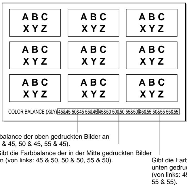 SONY UP-51MDU - Drücken Sie die Taste EXEC. - 1