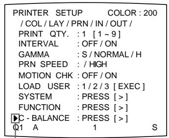 SONY UP-51MDU - Vor dem Einstellen der Farbbalance - 5