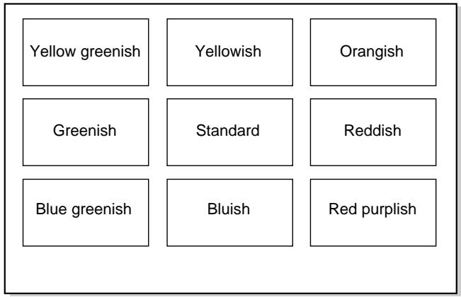 SONY UP-51MDU - Example of the actual color change in the test print - 1