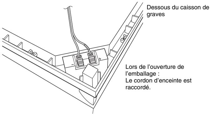 Dessous du caisson de graves Lors de l'ouverture de l'emballage : Le cordon d'enceinte est raccordé.