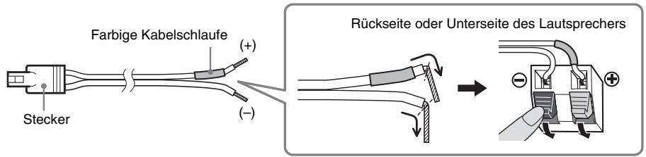 Farbige Kabelschlaufe (+) Stecker (-) Rückseite oder Unterseite des Lautsprechers