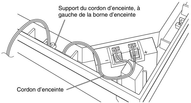 Support du cordon d'enceinte, à gauche de la borne d'enceinte Cordon d'enceinte