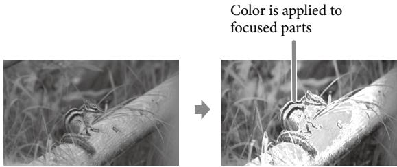 Color is applied to focused parts