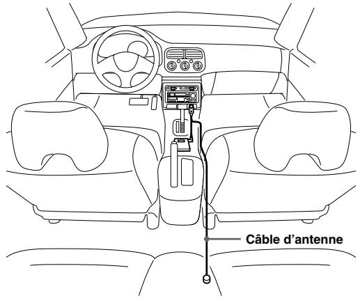 Câble d'antenne