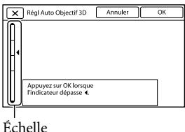 Régl Auto Objectif 3D Annuler OK Appuyez sur OK lorsque l'indicateur dépasse ◀. Échelle