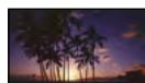 SONY DEV-3 - (Matin et soir)\* - 1