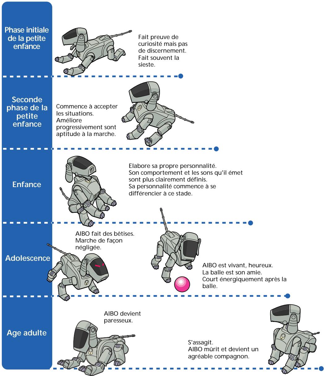SONY ERS-111 - Stades de développement d'aibo - 1