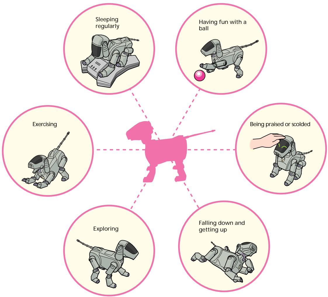 SONY ERS-111 - How does AIBO mature? - 1