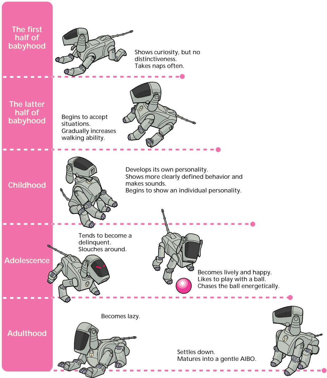 SONY ERS-111H - AIBO's stages of development - 1