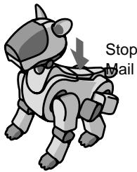 Stop Mail
