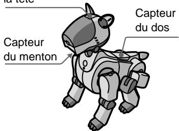 la tote Capteur du menton Capteur du dos