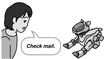 Check mail.