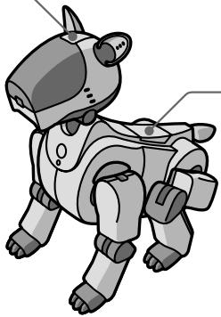 SONY ERS-210 - Stopping AIBO from reading a Web page or having AIBO read it again - 1