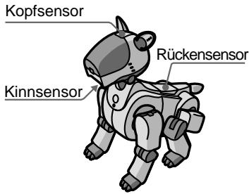 Kopfsensor Rückensensor Kinnsensor