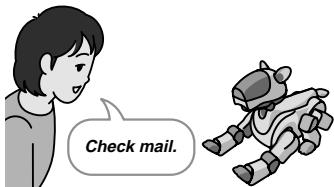 Check mail.