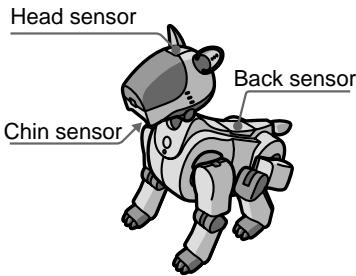 Head sensor Back sensor Chin sensor