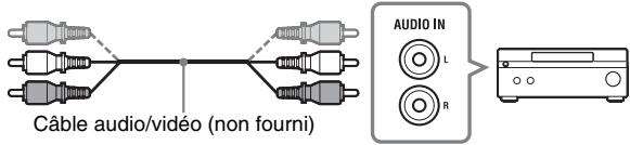 Câble audio/vidéo (non fourni) AUDIO IN L R