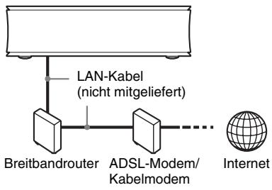 SONY SMP-N200 - Kabeleinrichtung - 1